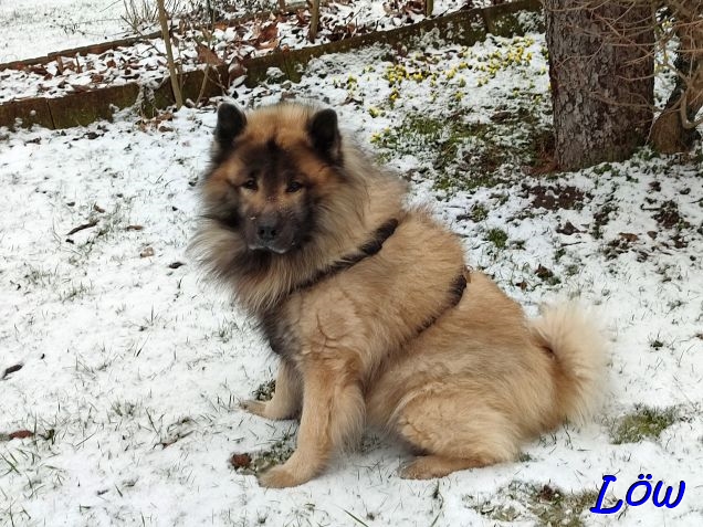 12.2.2025 - Dwix ist happy